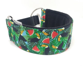 Comfortable, soft, martingale dog collar. Width - 5.5cm/2,2''. Whippet collar, greyhound collar, sighthound collar. Toucans, watermelons