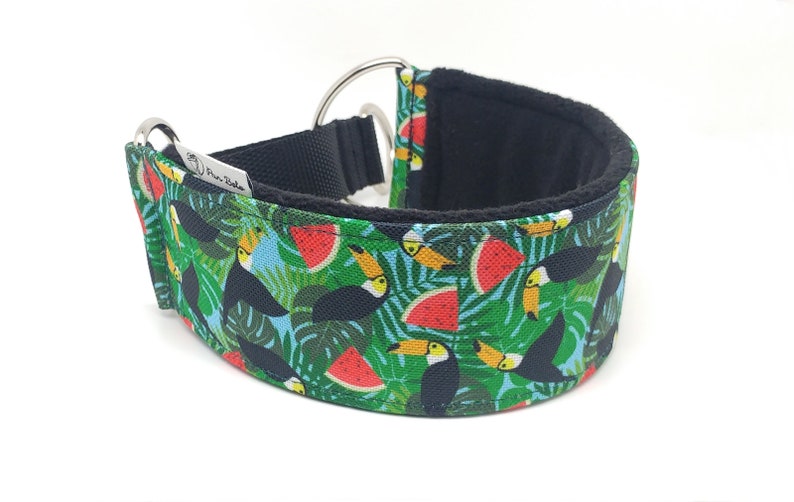 Comfortable, soft, martingale dog collar. Width 5.5cm/2,2''. Whippet collar, greyhound collar, sighthound collar. Toucans, watermelons image 1