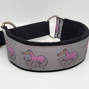 Comfortable, soft, cosy martingale dog collar. Width - 4.3cm/1.7''. Whippet, greyhound, sighthound, ig, galgo collar cartoon, funny drawing
