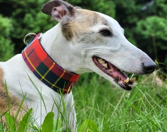 Comfortable, thick and soft, wool elegant, wide martingale dog collar. Whippet collar, greyhound collar, sighthound collar. Tartan pattern.