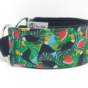 Comfortable, soft, martingale dog collar. Width 5.5cm/2,2''. Whippet collar, greyhound collar, sighthound collar. Toucans, watermelons image 2