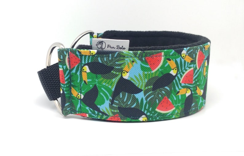 Comfortable, soft, martingale dog collar. Width 5.5cm/2,2''. Whippet collar, greyhound collar, sighthound collar. Toucans, watermelons image 2