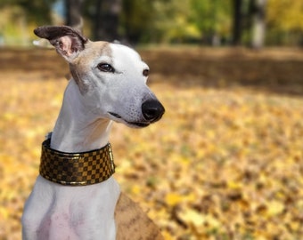Comfortable, soft, cosy martingale dog collar. Whippet collar, greyhound collar,galgo, gold/black shiny pattern