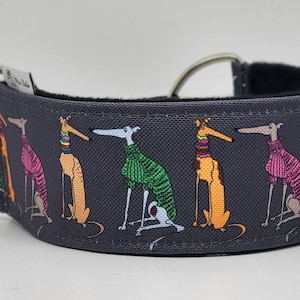 Comfortable, soft, cosy martingale dog collar. Width - 5cm/2''. Whippet, greyhound, sighthound, ig, galgo collar cartoon, funny drawing