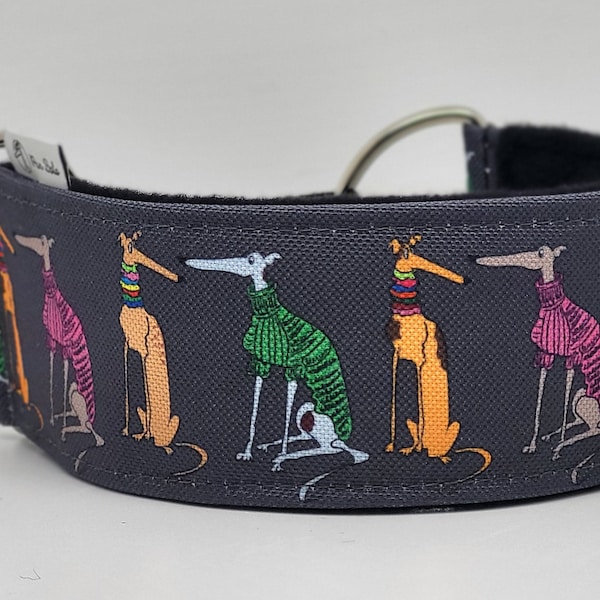 Comfortable, soft, cosy martingale dog collar. Width - 5cm/2''. Whippet, greyhound, sighthound, ig, galgo collar cartoon, funny drawing