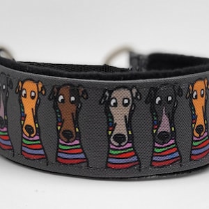 Comfortable, soft, cosy martingale dog collar. Width - 5cm/2''. Whippet, greyhound, sighthound, ig, galgo collar cartoon, funny drawing