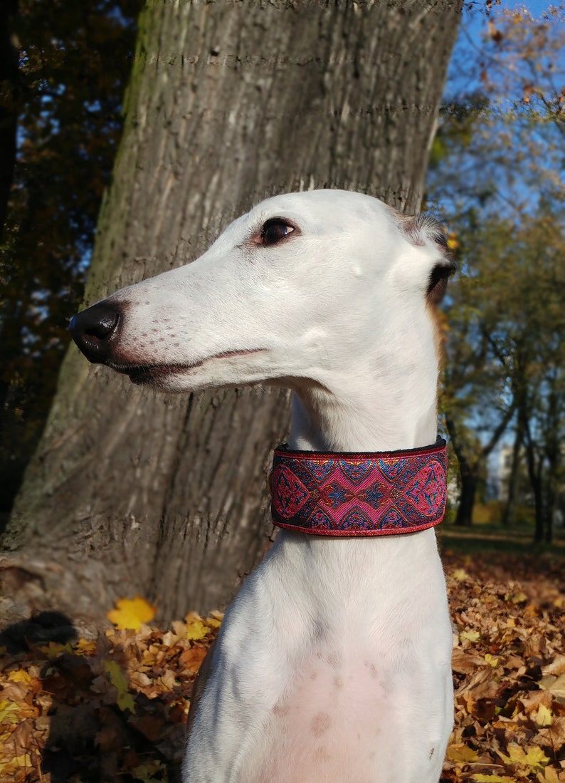 Martingale Collar Whippet Greyhound Dog Collar Soft Etsy