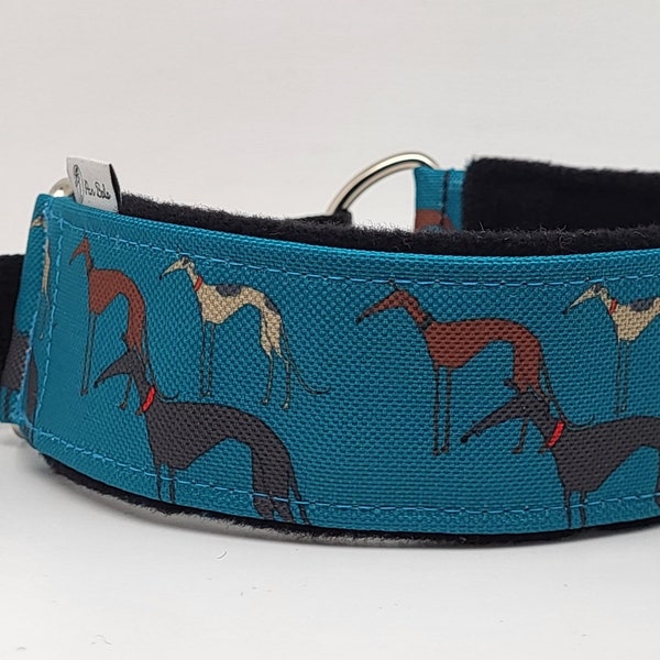 Comfortable, soft, cosy martingale dog collar. Width - 5cm/2''. Whippet, greyhound, sighthound, ig, galgo collar cartoon, funny drawing