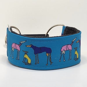 Comfortable, soft, cosy martingale dog collar. Width - 5cm/2''. Whippet, greyhound, sighthound, ig, galgo collar cartoon, funny drawing