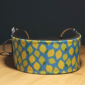 Collar martingala cómodo, suave y acogedor para perros. Collar para whippet, collar para galgo, collar para galgo, divertidos limones sobre cielo azul
