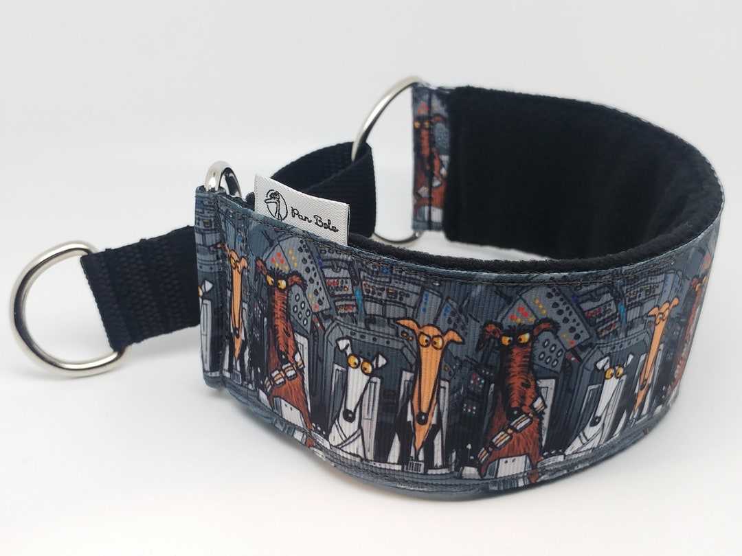 Greyhound collars etsy hot sale