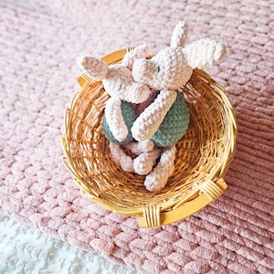 May include: Two crocheted plush toys featuring light pink heads and ears with sage green bodies, nestled together inside a round, light brown woven wicker basket. The toys have soft, textured yarn surfaces and are positioned upright in the center.