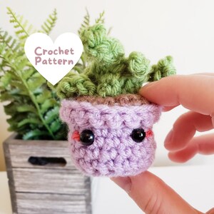 Buddy the Little Succulent Plant Amigurumi Crochet Pattern, English PDF