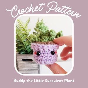 Buddy the Little Succulent Plant Amigurumi Crochet Pattern, English PDF