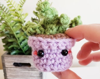 CROCHET PATTERN Buddy the Little Succulent Plant Amigurumi, English PDF