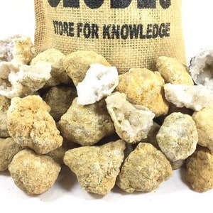 40 Break Your Own Geodes Whole Moroccan Geodes 1.5 Bulk Gift Pack Quartz Crystals image 2