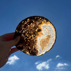 May include: A translucent, round agate slice with a dark brown outer edge and a lighter, patterned interior. The agate features a mix of brown, white, and tan colors, and is held against a blue sky with clouds.