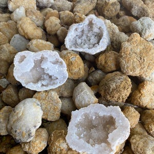 May include: A close-up of several geode crystals. The crystals are broken open to reveal the white quartz crystals inside. The geode crystals are surrounded by brown and tan rocks.