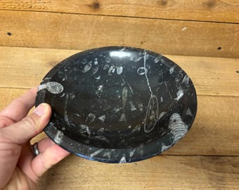 Cuenco grande de 8 pulgadas de gonita/amonita pulida fósil, negro.