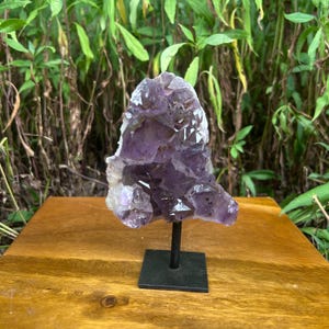 May include: A large amethyst crystal cluster, showcasing a gradient of purple hues, mounted on a black metal stand. The crystal's facets catch the light, creating a sparkling effect. The stand has a square base and a vertical rod. The background features green foliage.