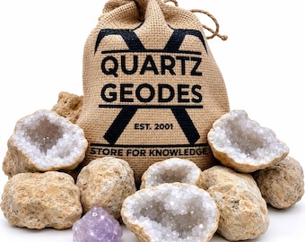 20 Break Your Own Geodes Whole Moroccan Geodes 2" Bulk Gift Pack Quartz Crystals