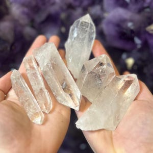 May include: A collection of clear quartz crystal points of varying sizes. The crystals are held in a person's hands, with a blurred purple background. The crystals have a natural, raw appearance, with visible facets and points.