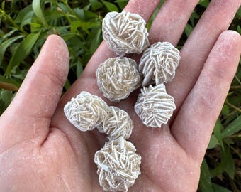 Beautiful Raw Desert Rose Gypsum Rock Mineral 40 Bulk Pack 0.5"