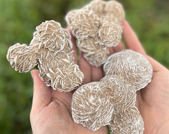 Beautiful Raw Natural Desert Rose Cluster Gypsum Rock Mineral 4-5"