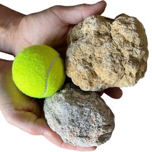 May include: Three large, rough, natural, brown and gray stones, similar in size to a tennis ball.