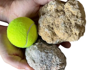 May include: Three large, rough, natural, brown and gray stones, similar in size to a tennis ball.