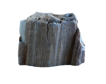 Natural Texas Petrified Wood 5” w/ Cut Base