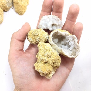 40 Break Your Own Geodes Whole Moroccan Geodes 1.5 Bulk Gift Pack Quartz Crystals image 5