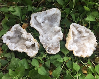 One Diamond Saw Cut Geode 2" Half | Moroccan Druzy Crystals Quartz Display Craft Supply