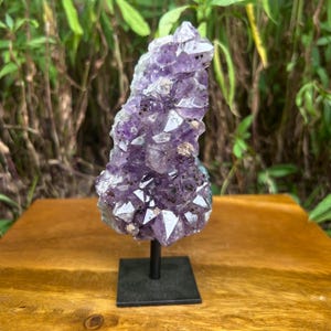 May include: A large, natural amethyst crystal cluster, showcasing deep purple hues and crystalline structures. The amethyst is mounted on a black metal stand, presenting a striking display of natural beauty. The background features lush green foliage.
