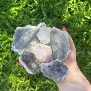 May include: A collection of raw amethyst crystal clusters in shades of purple, lavender, and gray. The crystals have a rough, textured surface and are held in a hand against a backdrop of green foliage.