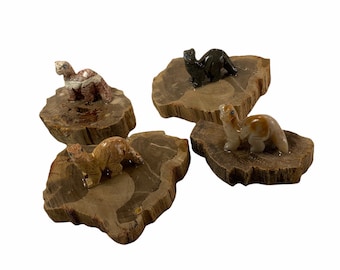 Soap Stone Brontosaurus Dinosaur on Texas Petrified Wood Slice