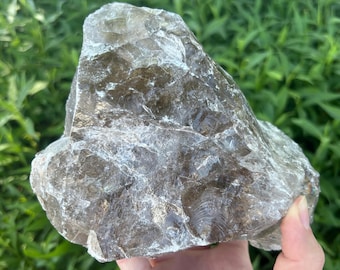 Natural Large Smokey Quartz Chunk - Raw Rough Beautiful Crystals 7" 5.1 Lbs.