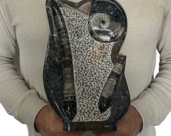 Medium Fossil Orthoceras and Gonatite Slab Plaque Standing Base - Polished Specimen Sculpture 11" 5 lbs