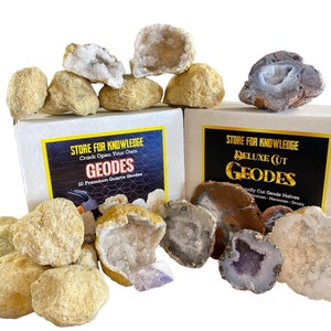 May include: Two boxes of geodes, one labeled "Crack Open Your Own Geodes" and the other labeled "Deluxe Cut Geodes". The boxes are surrounded by a variety of geodes, some whole and some cut open, revealing crystals inside.