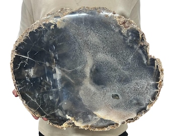 Huge Agate Slab | Slice - Natural Color 21.75" 26.70 lbs | Home Office Décor