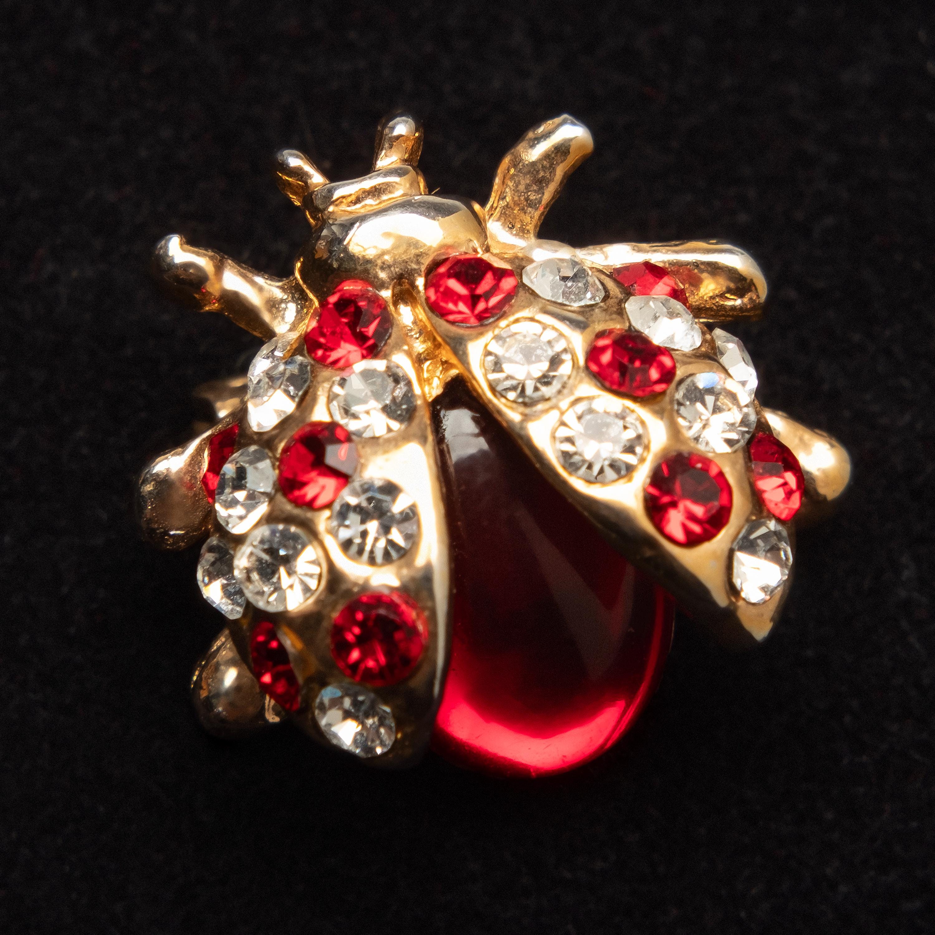 Jellybelly Brooch Pin - Etsy
