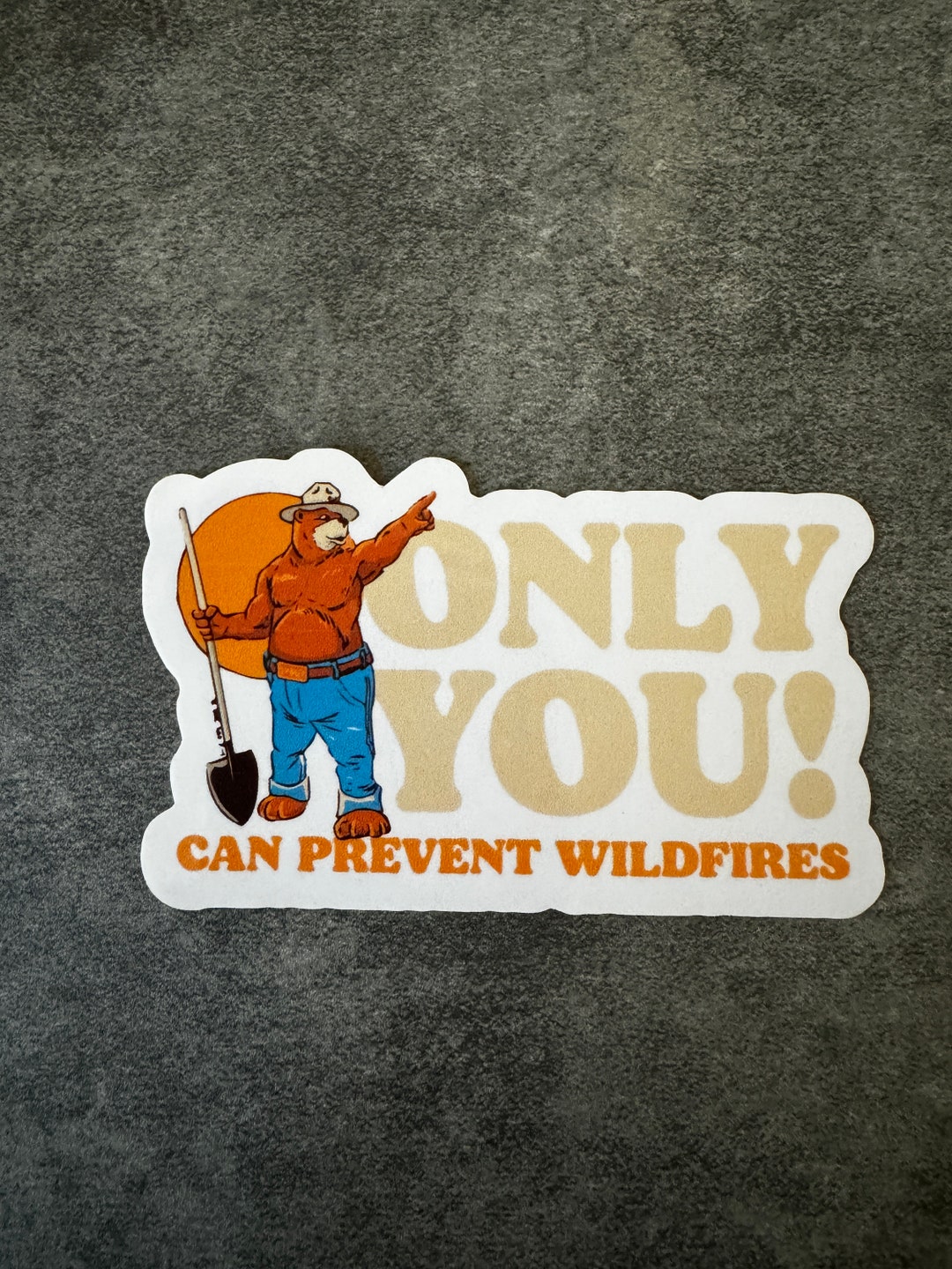 Only You Can Prevent Wildfires Sticker Etsy Only you can prevent wildfires sticker etsy