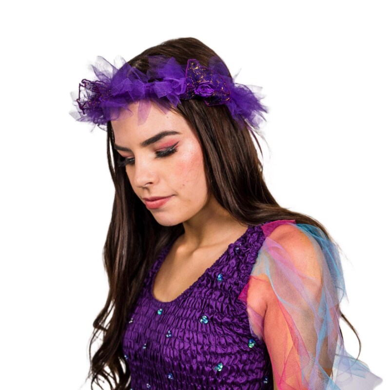 Adult Women's Renaissance Princess Plus Size Costume main image 1