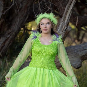 Woman&#39;s Fairy Renaissance Midsummer Festival One & Plus Size  Princess Party Dress Halloween Mardi Gras Dance Cosplay  Steampunk Costume