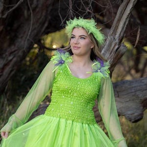 Woman&#39;s Tinkerbell Fairy Dress & Tulle Headpiece ~ Renaissance Masquerade Halloween Costume ~ Theatre  Cosplay Birthday Party Dance Costumes