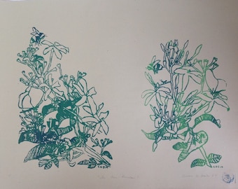 In Our Garden, hand-printed silkscreen print, Porto Heli, Greece