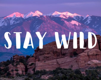 Stay Wild, Phone Decal, Laptop Decal, Car Decal, Choose Color And Size