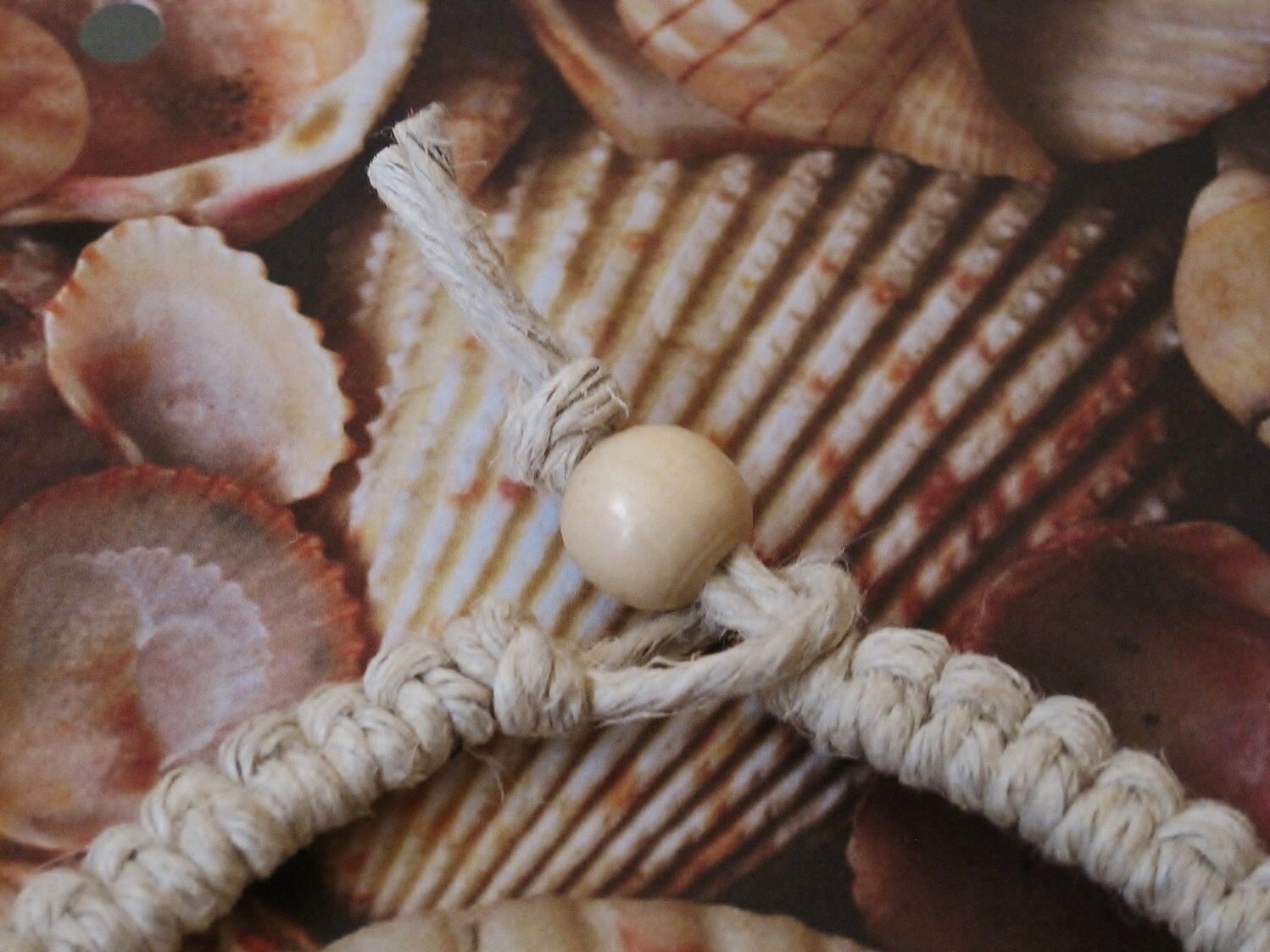 Cowrie Shell colgante madera y campanas gruesas playa natural ...