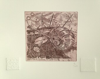 Bramble snail & cobweb
