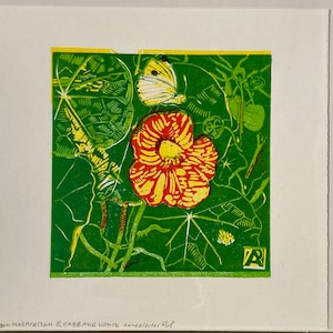N is for Nasturtium flower & cabbage white butterfly
